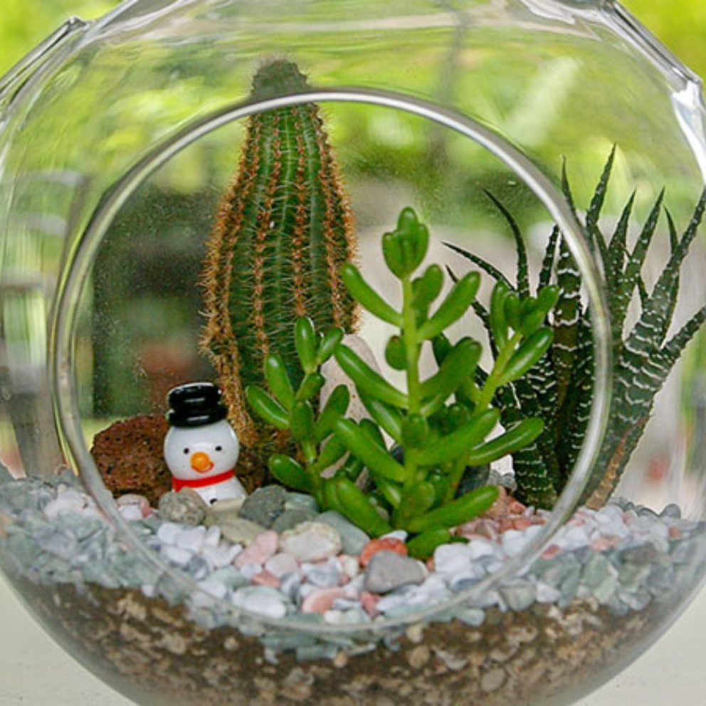 yılbaşı terrarium (2)